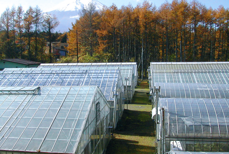 Opening of the Oshino Experimental Farm facility