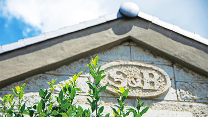 Corporate Governance