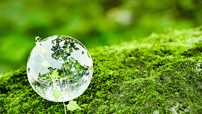 Sustainability Policy