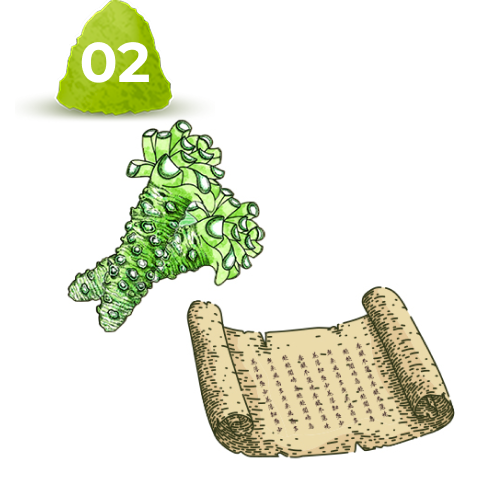 Tab 2 | Wasabi’s Ancient History