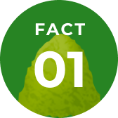 Fact 1