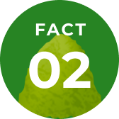 Fact 2