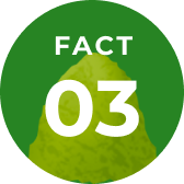 Fact 3