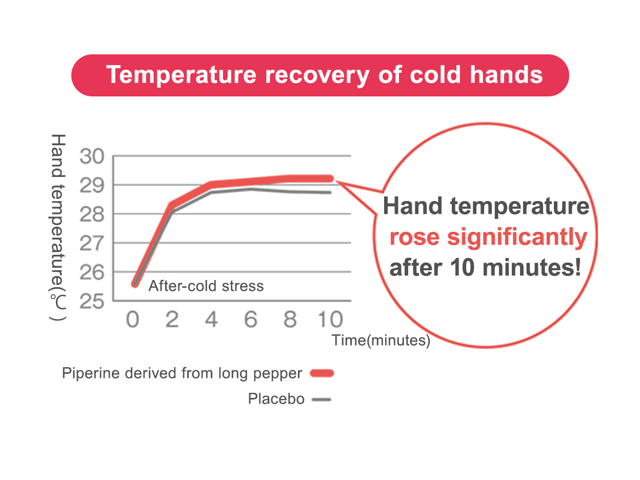 A chart of temperature recovery of cold hands. By taking the compounds in long pepper, hand temperature rose significantly after 10 minutes.