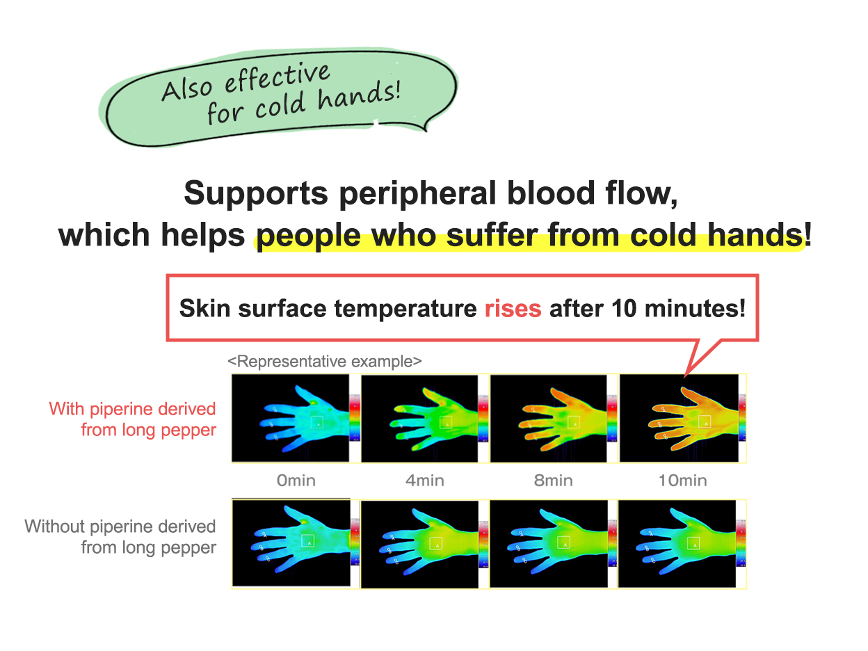 The compounds in long pepper are also effective for cold hands. Supports peripheral blood flow, which helps people who suffer from cold hands. Skin surface temperature rises after 10 minutes.