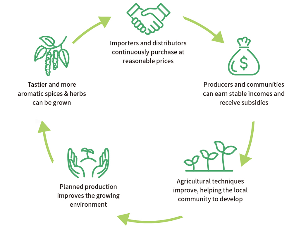 Importers and distributors continuously purchase at reasonable prices → Producers and communities can earn stable incomes and receive subsidies → Agricultural techniques improve, helping the local community to develop → Planned production improves the growing environment → Tastier and more aromatic spices & herbs can be grown → (back to top)