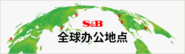 全球办公地点